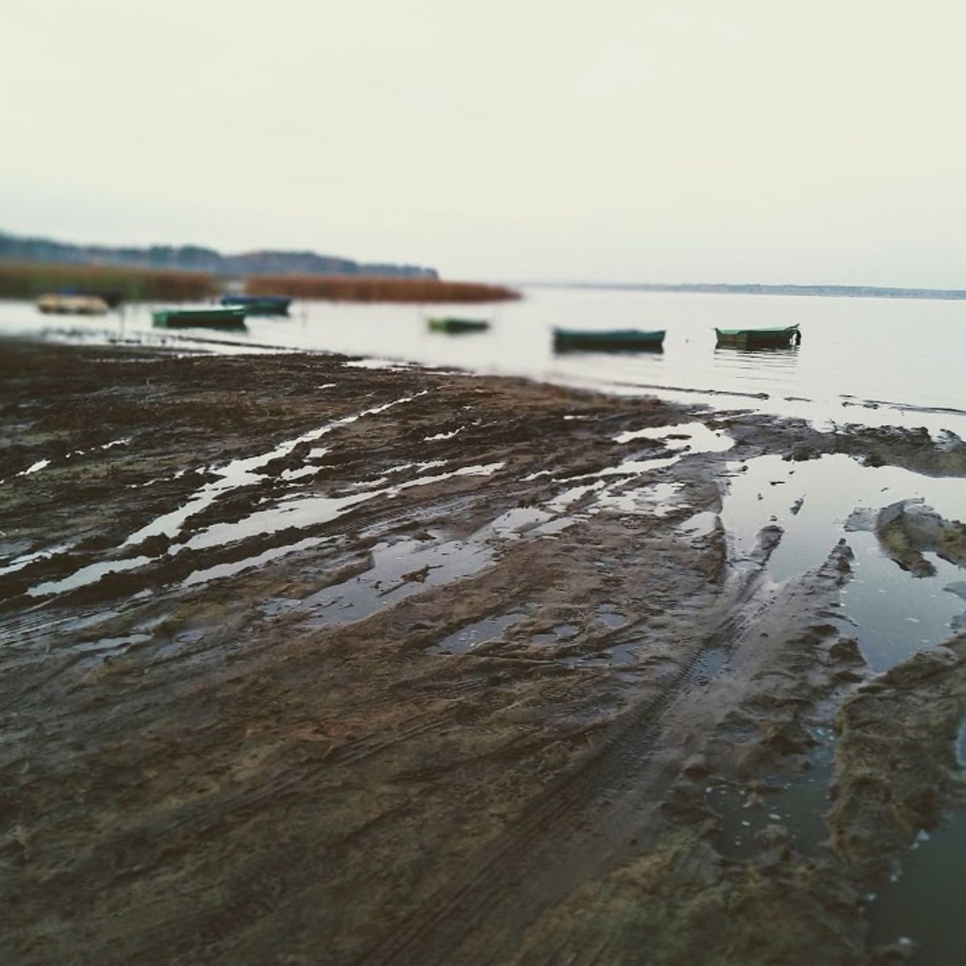 Margines \