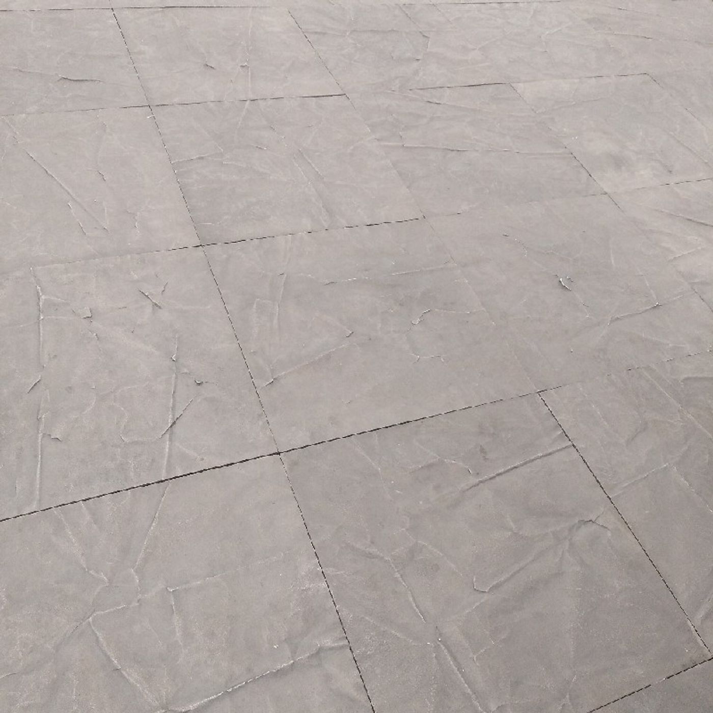 El show de Angelica Maria HUERTAS SANCHE