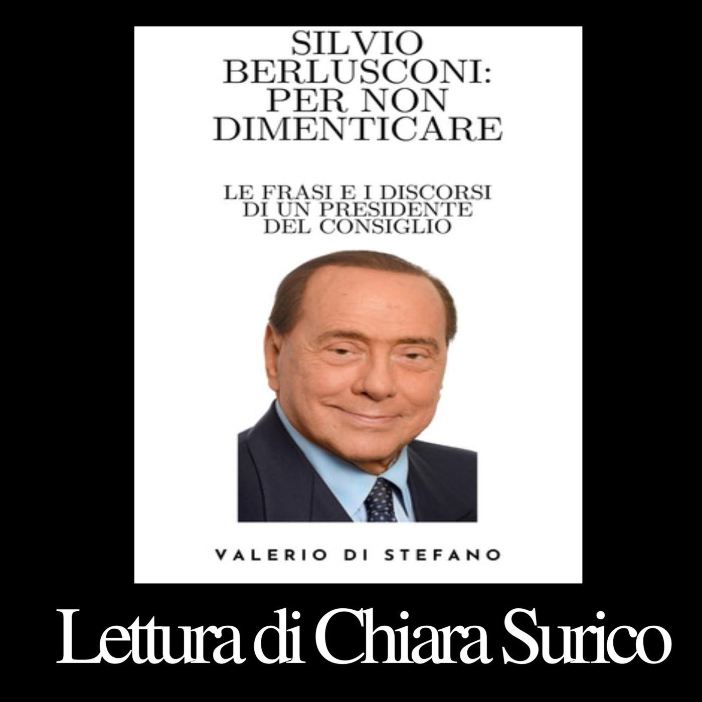 Valerio Di Stefano - Silvio Berlusconi: per non dimenticare cover art