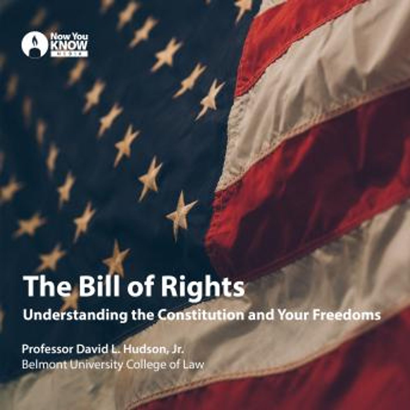 Enjoy Amazing Audiobooks in Non-Fiction, Current Affairs, Law, & Politics