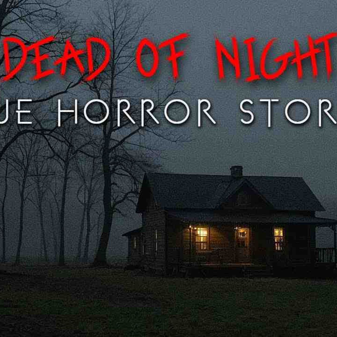 3 Creepy TRUE Dead of Night Horror Stories _ Vol. 2(MP3_160K) episode artwork