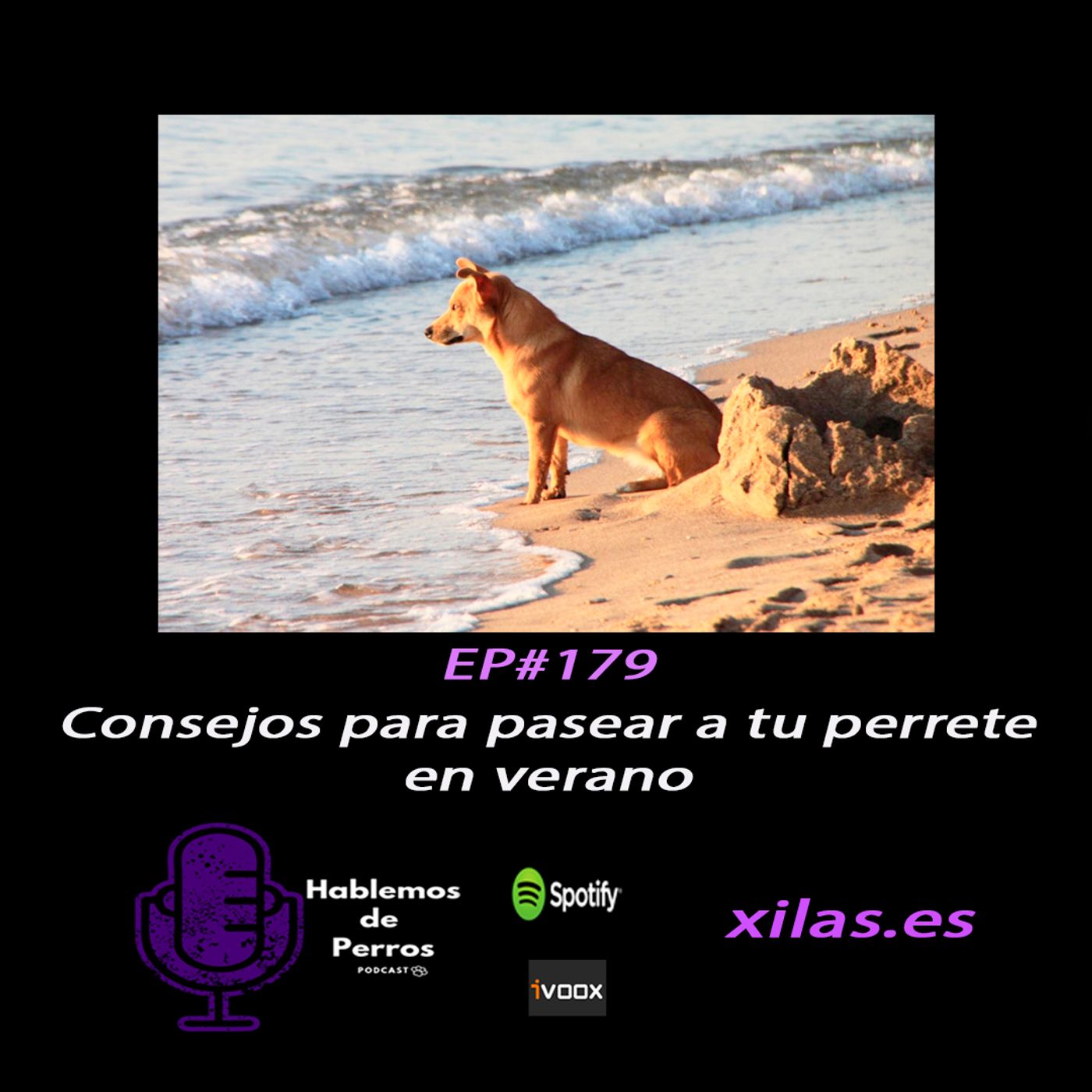 Hablemos de perros