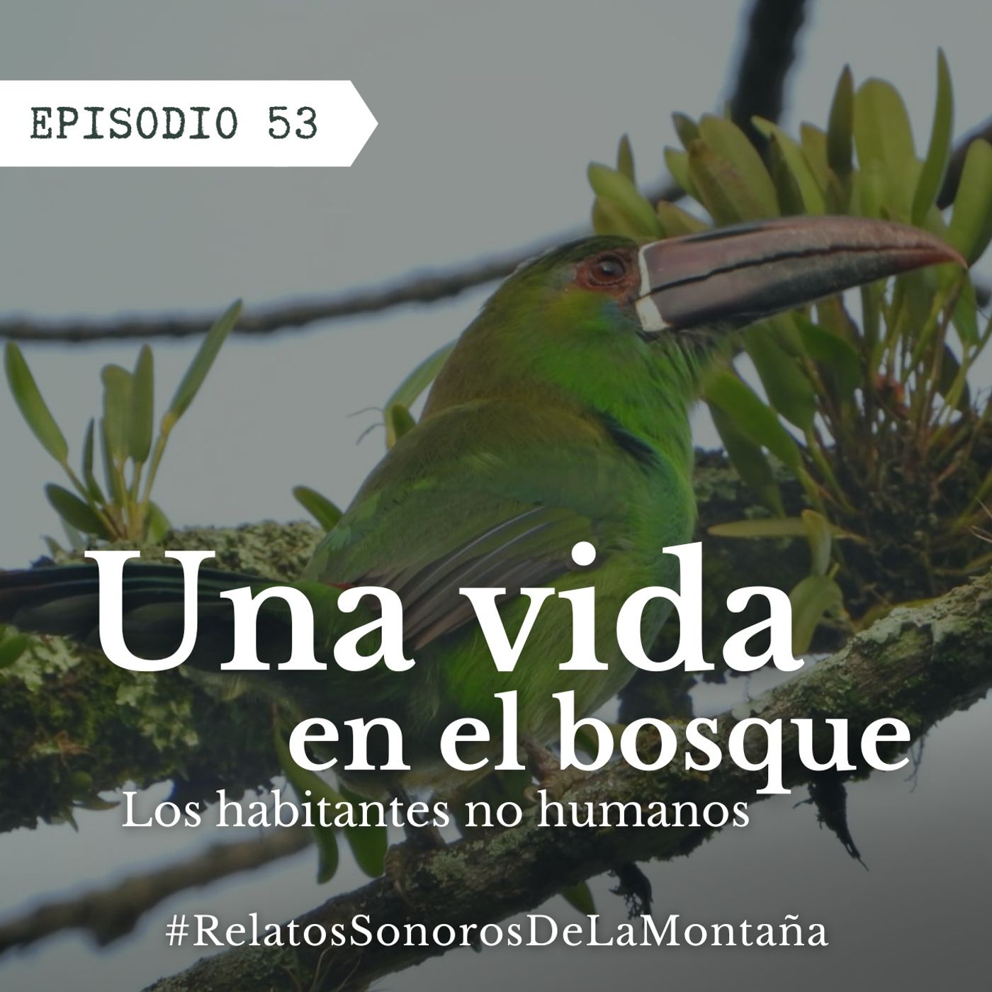 Ep. 53 Una vida en el bosque - Los habitantes no humanos Ep. 53 Una vida en el bosque - Los habitantes no humanos