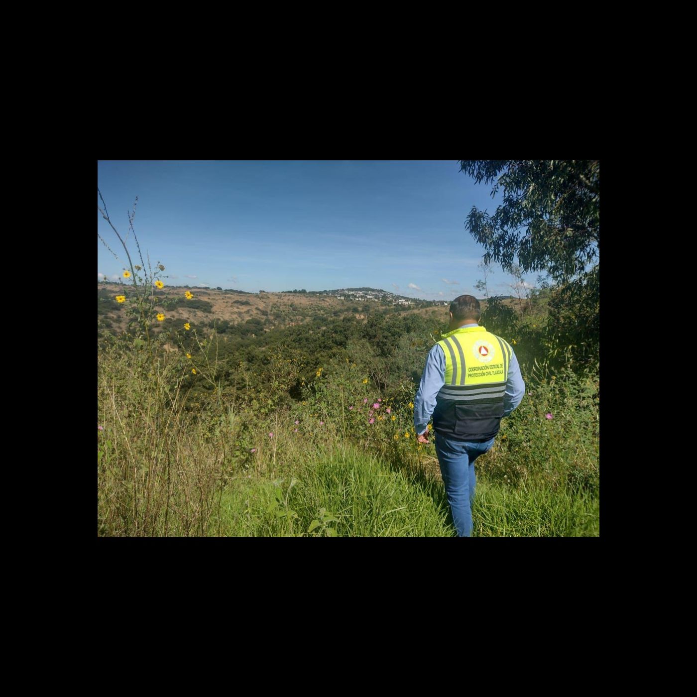 🌬️🥶 PRONOSTICAN FRENTE FRÍO CON TEMPERATURAS BAJO CERO EN 16 ESTADOS ❄️🌨️🌡️