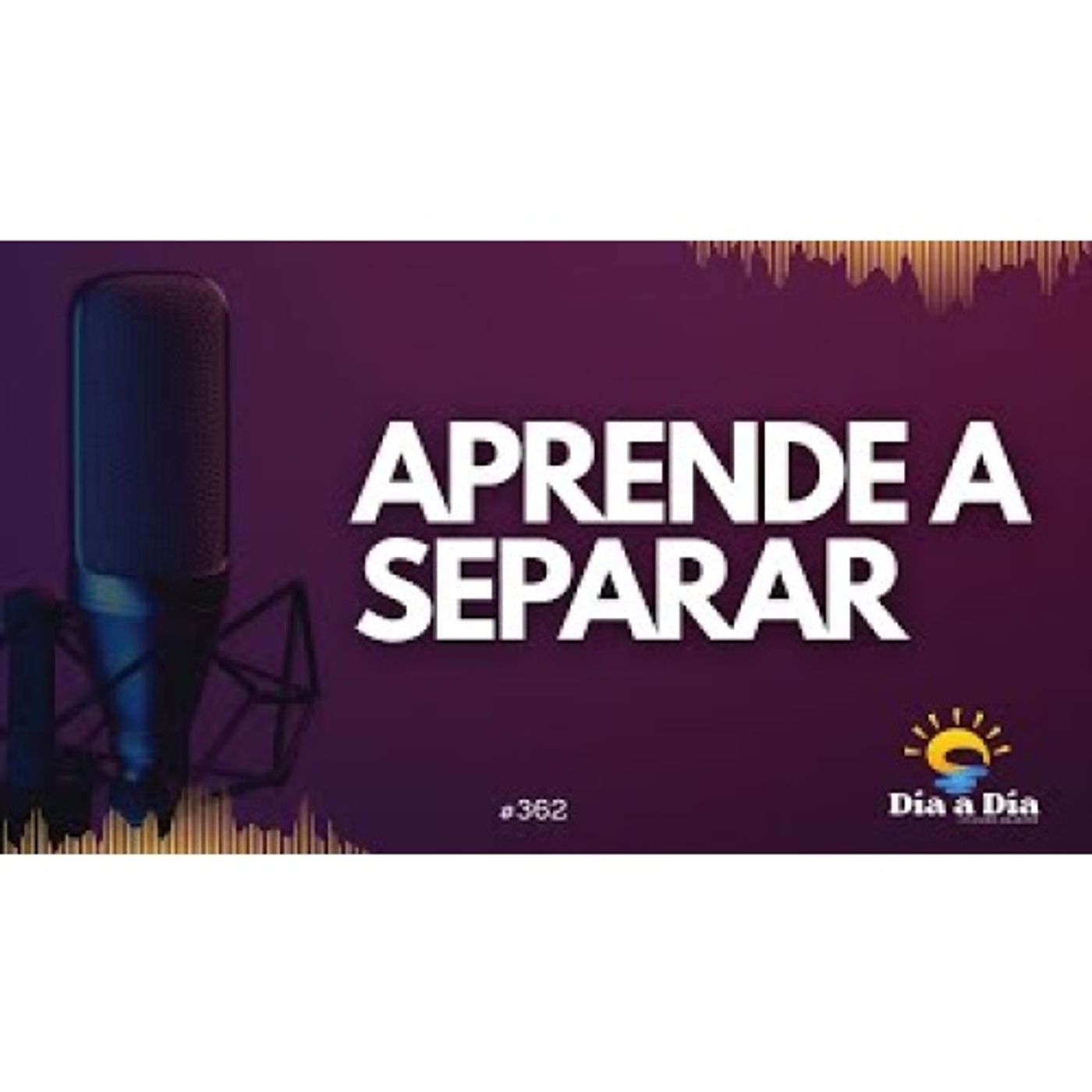 Aprende a separar - Día a día 362 episode artwork