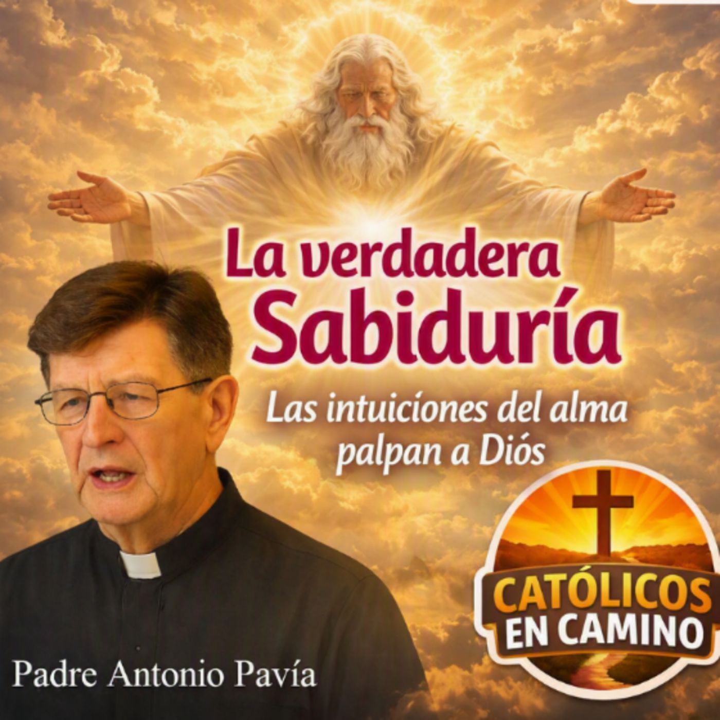 LA VERDADERA SABIDURÍA 
9_ Las intuiciones del alma palpan a Dios 
catequesis Padre Antonio Pavía episode artwork