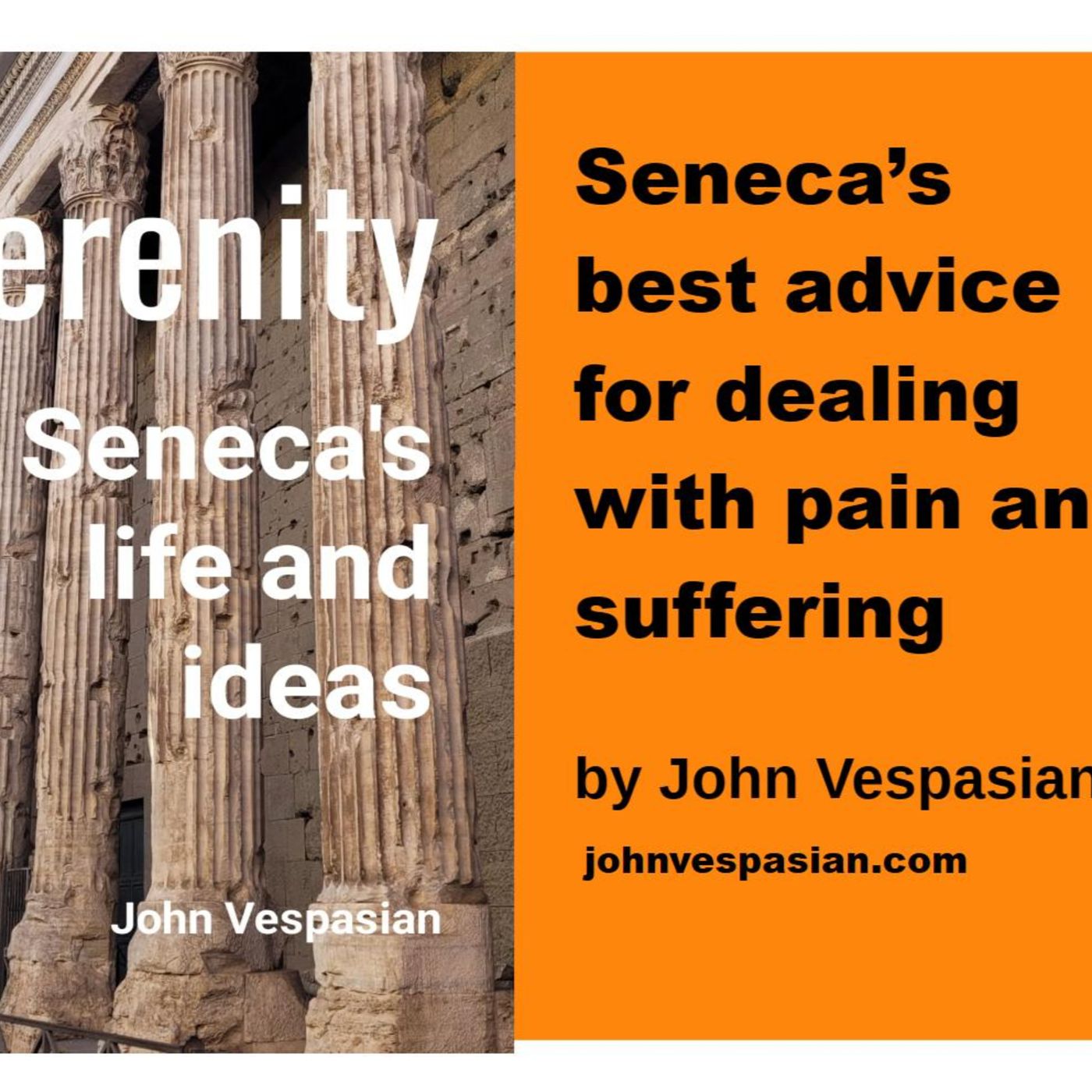 Seneca's best advice for dealing with pain and suffering episode artwork
