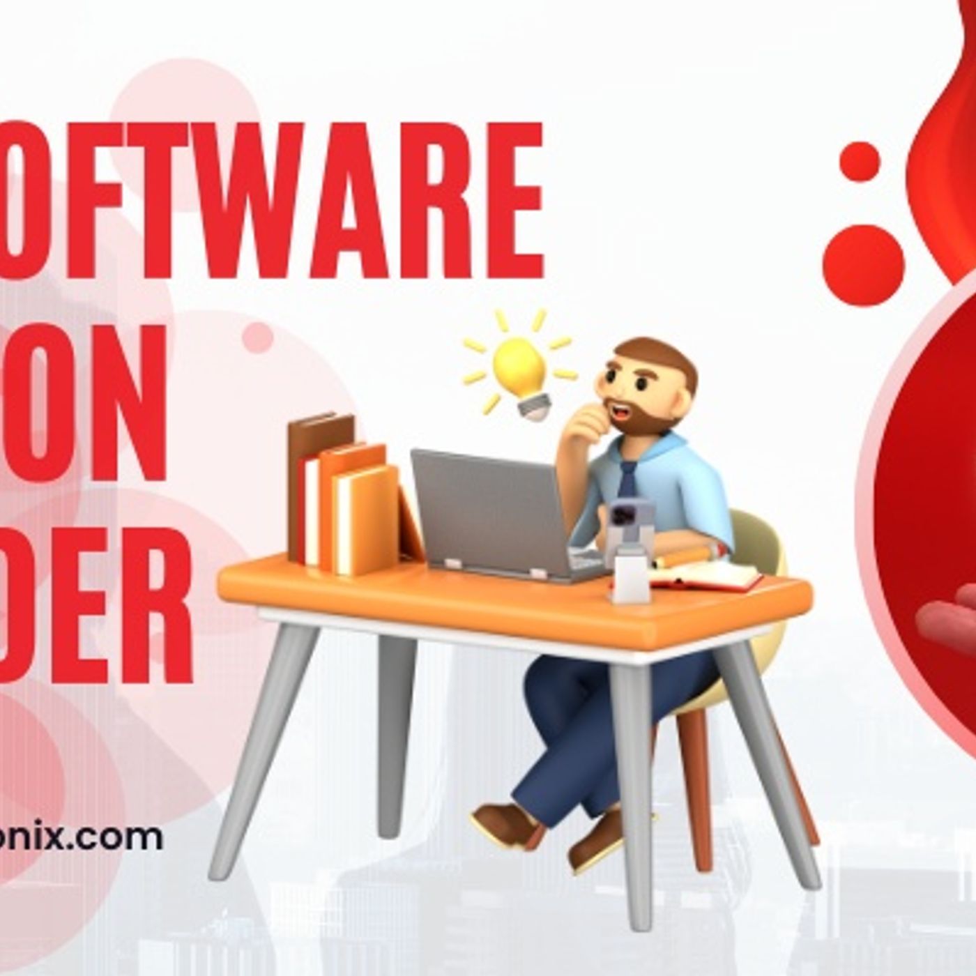 Software Development Service Provider