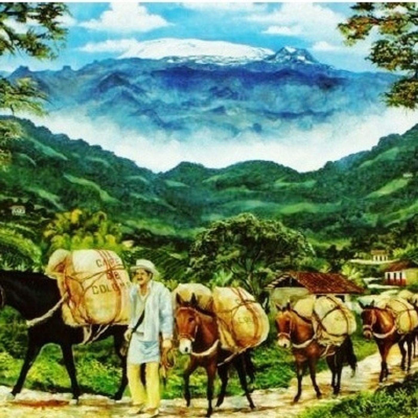 El despegue cafetero en Colombia