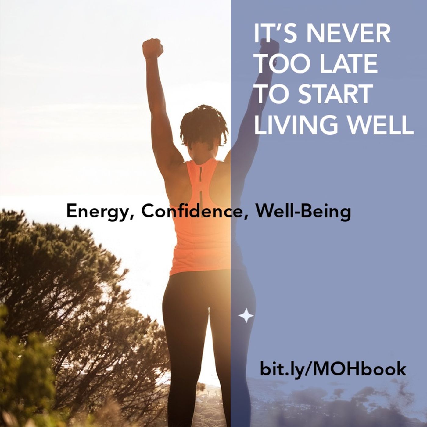 The Wellness Podcast