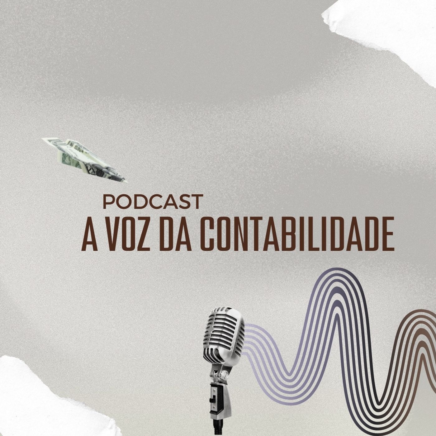 A voz da contabilidade