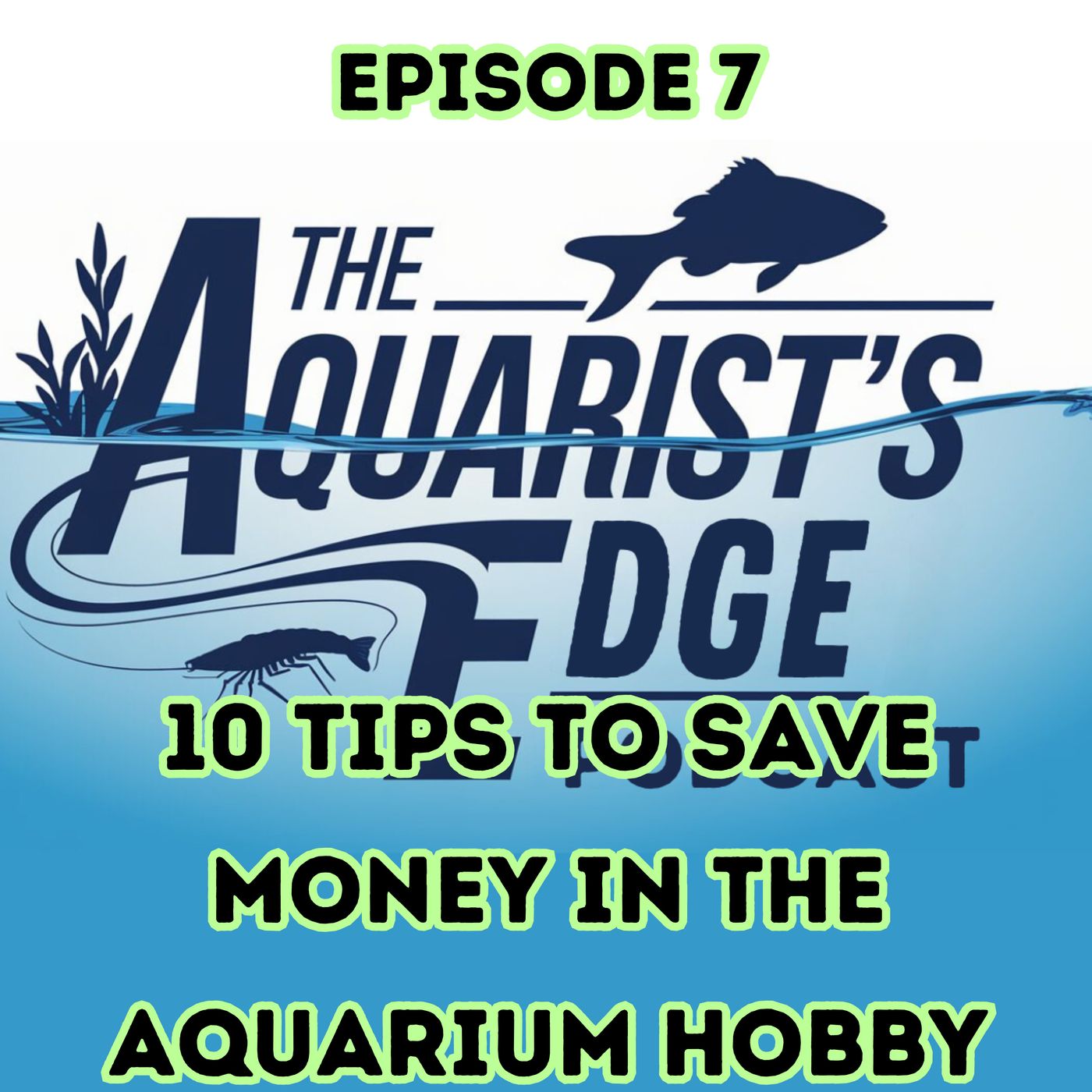 The Aquarist\'s Edge
