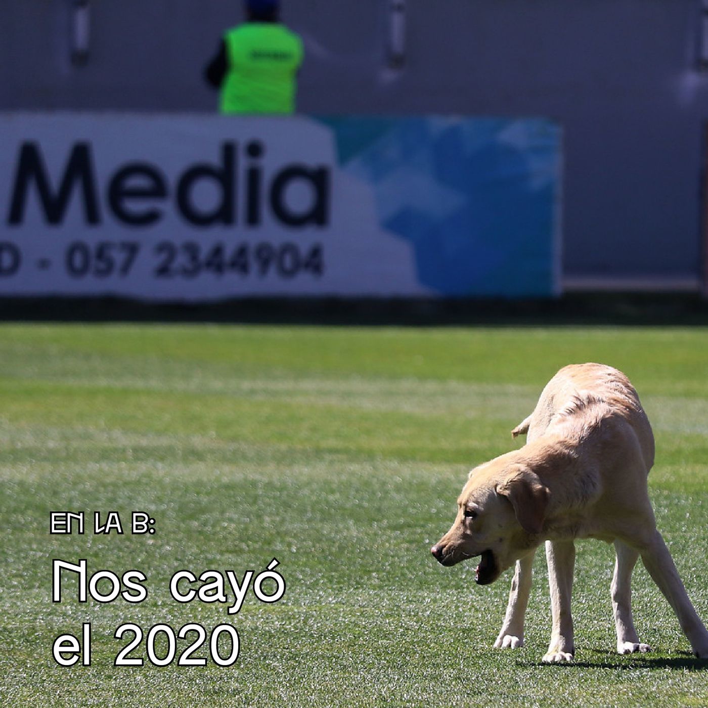 Nos cayó el 2020