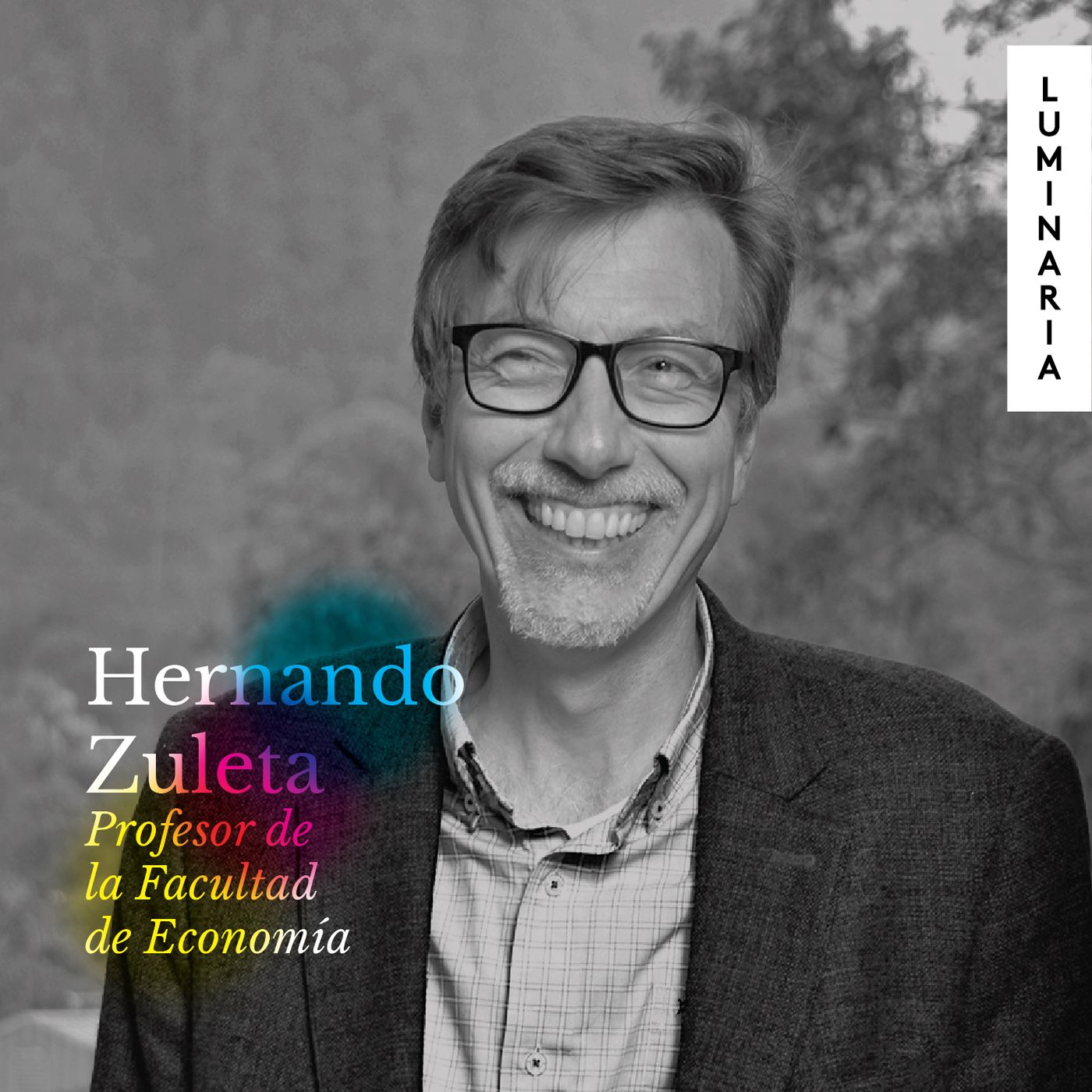 Luminaria: el brillo de las grandes ideas