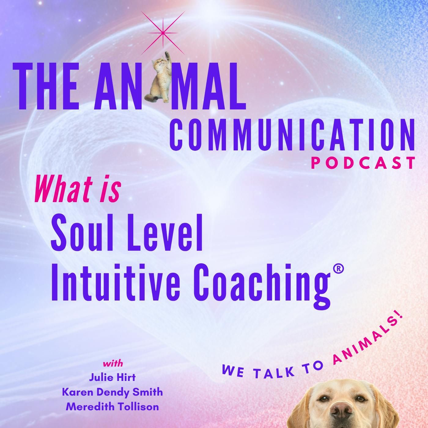 What is Soul Level Intuitive Coaching?
