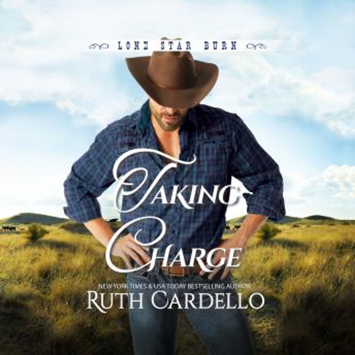Download Incredible Full Audiobooks in Romance, Modern
