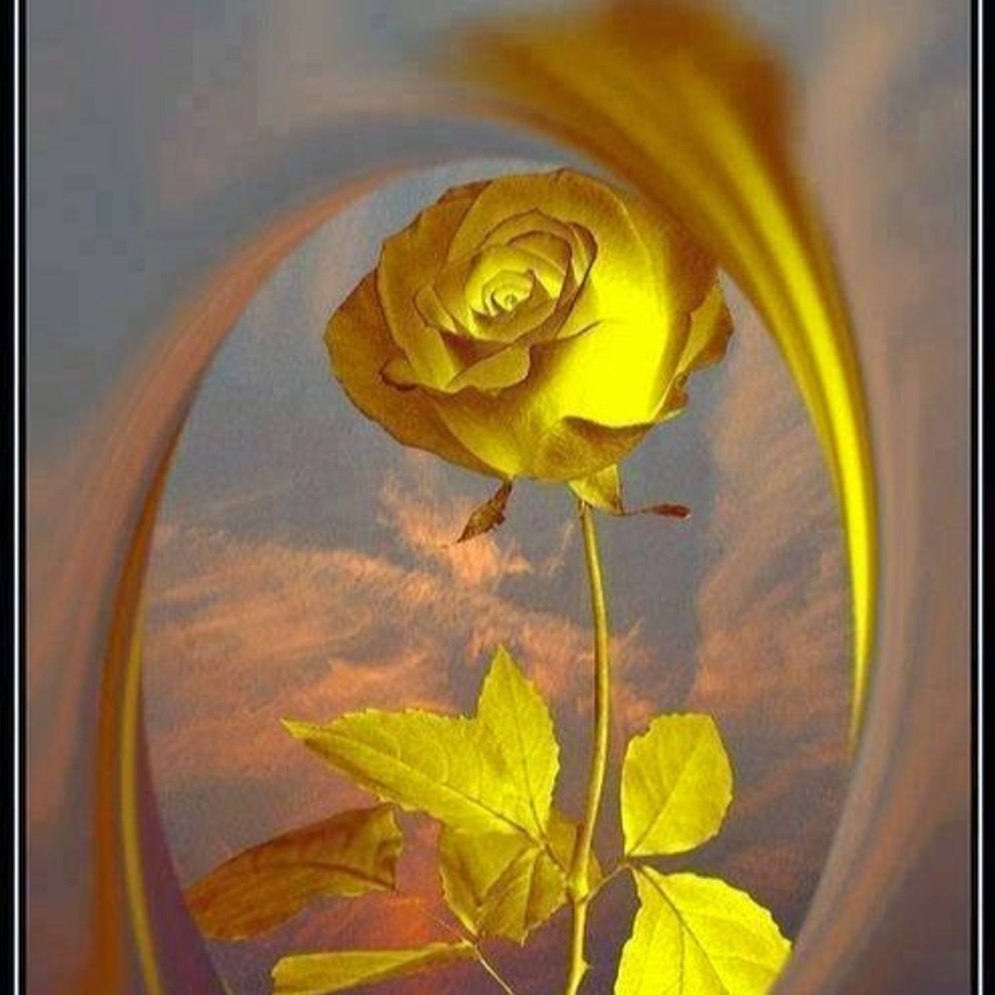 GLADYS (SEUDONIMO :FLORDELIZARGENTINA)