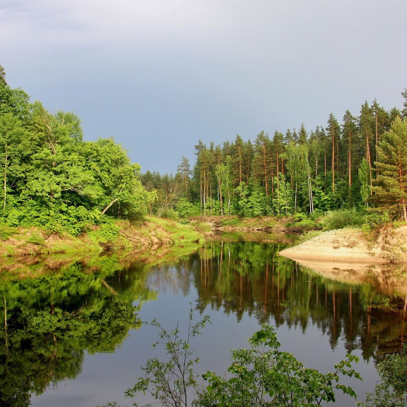 Voice In The Wilderness