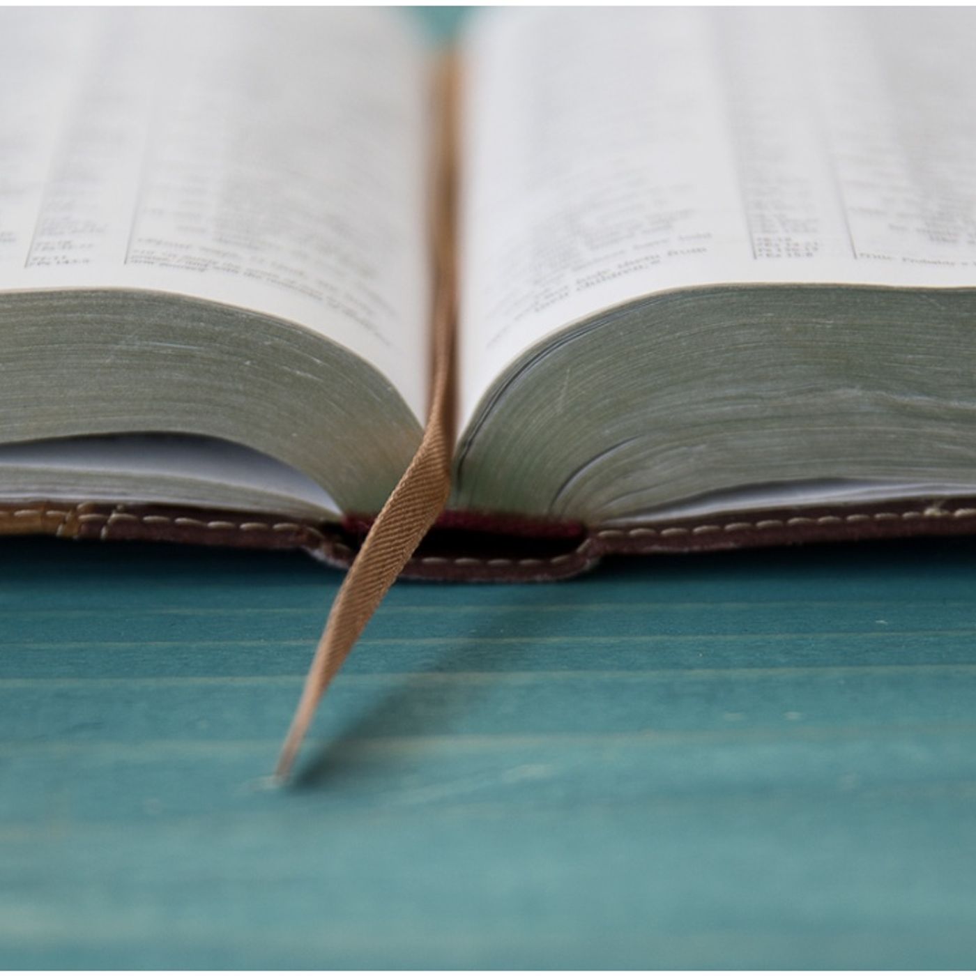 Psalm chapter 119  w/ Donny Shankle