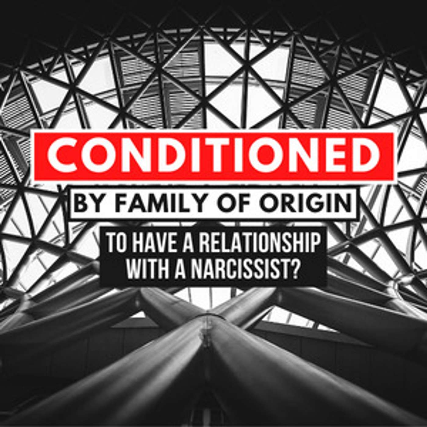 Narcissistic Abuse Recovery Podcast