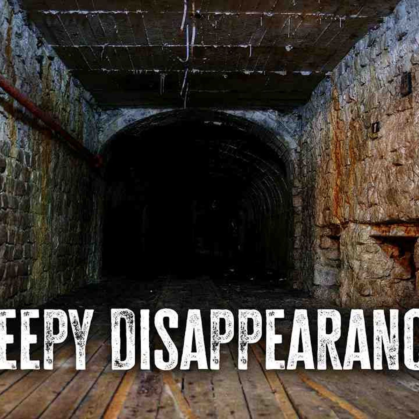 The Creepiest Cases of People Disappearing(MP3_160K) episode artwork