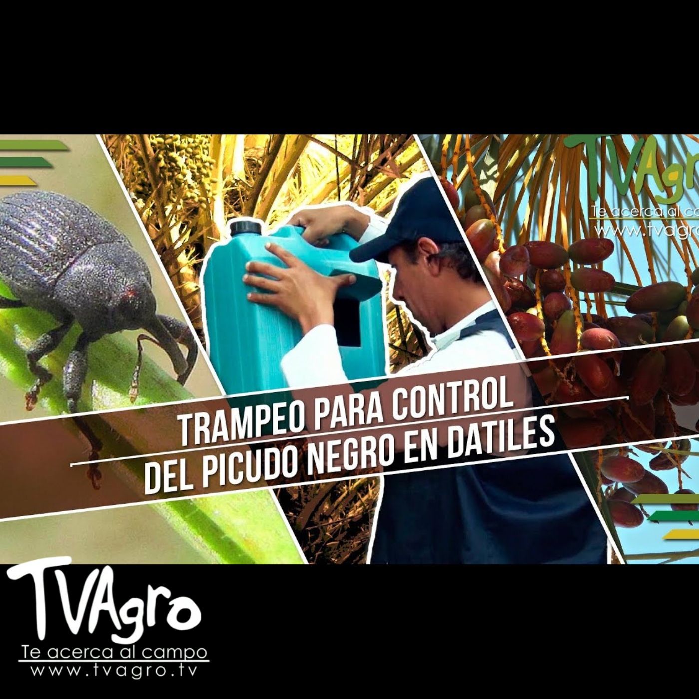 TV AGRO