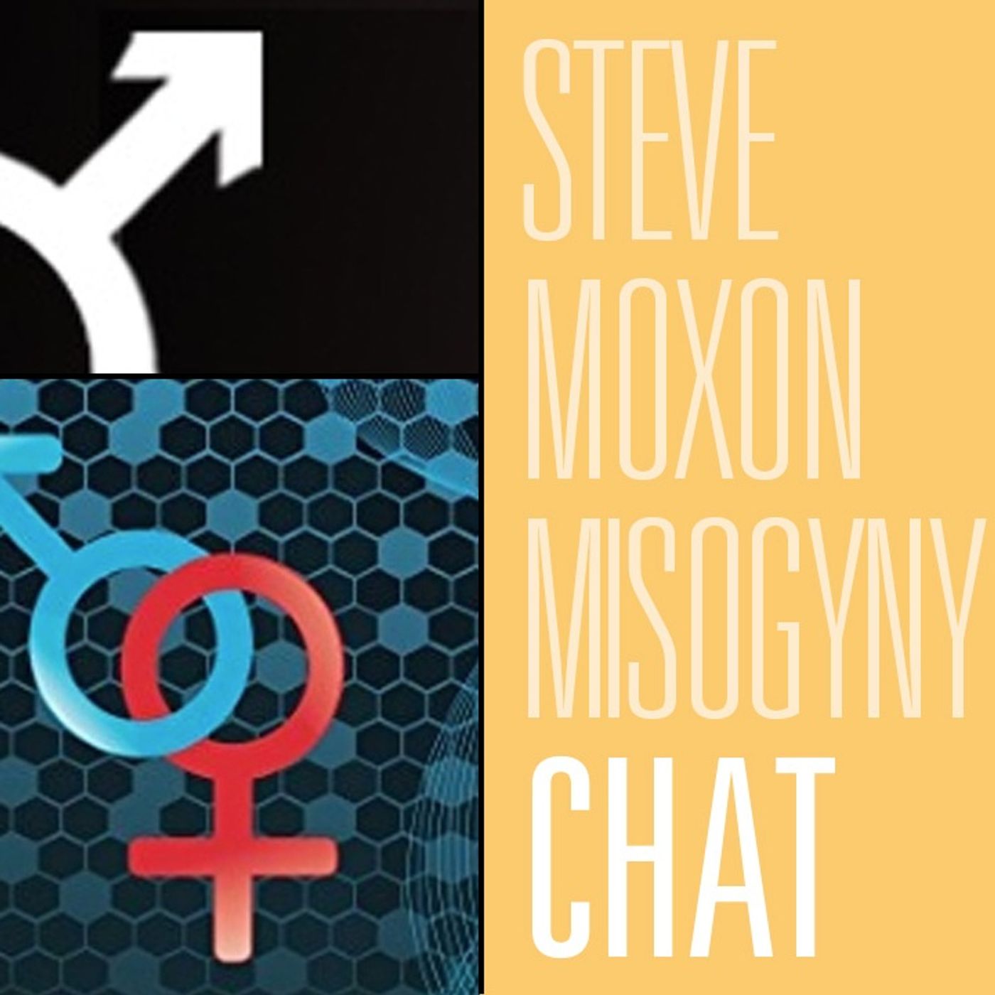 Misogyny Deboonked? Speaking With Researcher Steve Moxon | Fireside Chat 185
