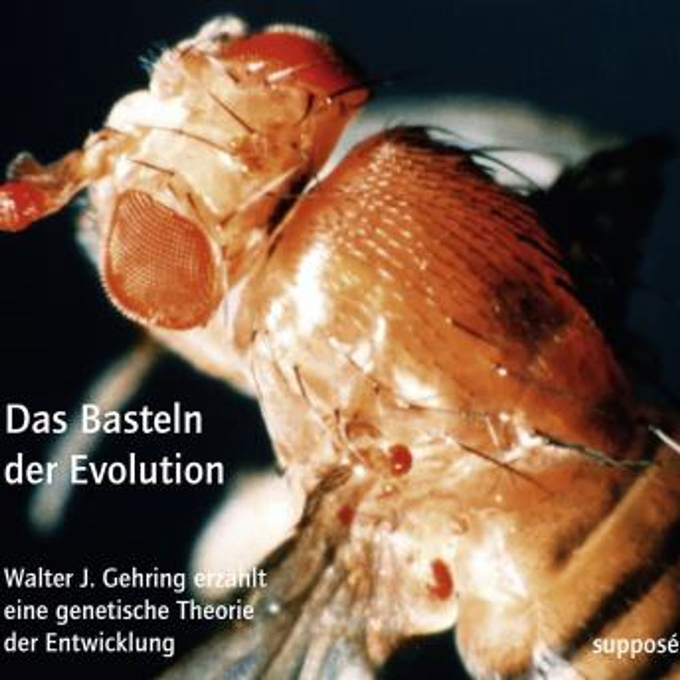 Enjoy Amazing Full Audiobooks in Non-Fiction, Biology & Chemistry