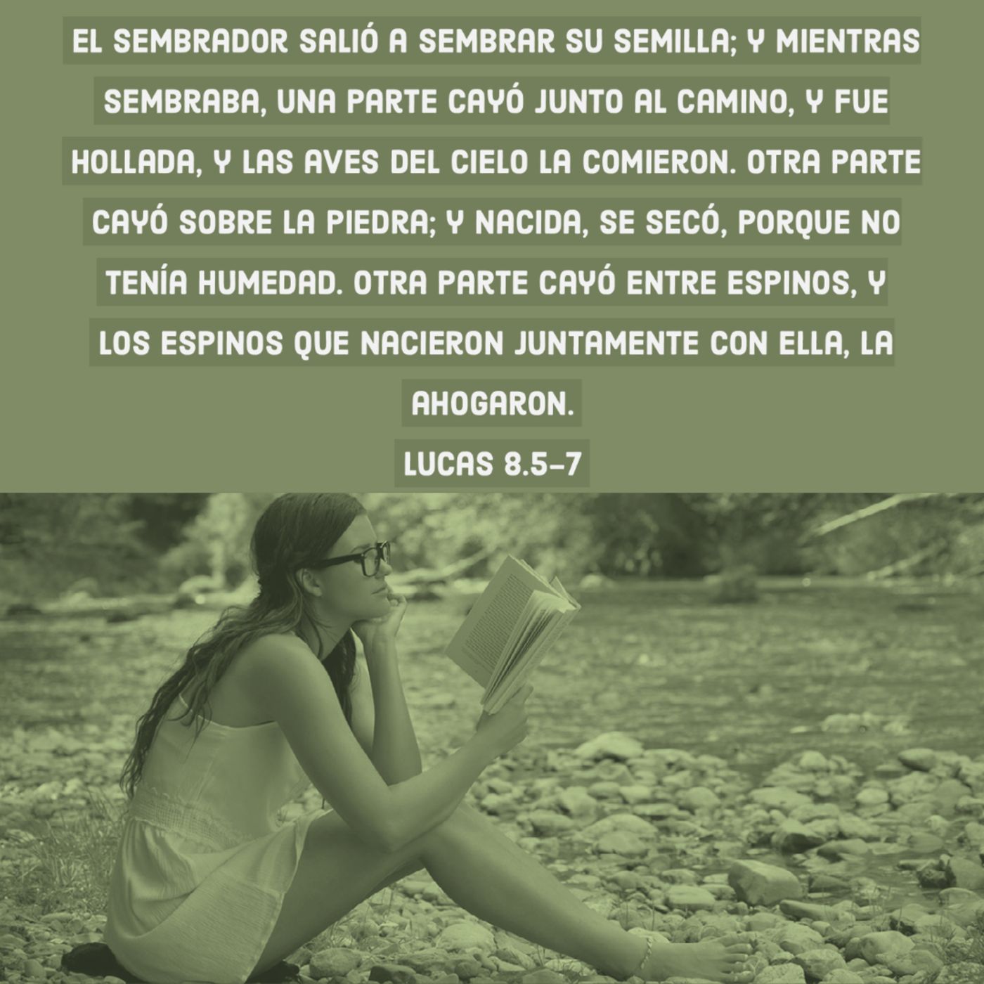 Ministerio UMCD - Un Momento Con Dios | Reflexiones Cristianas