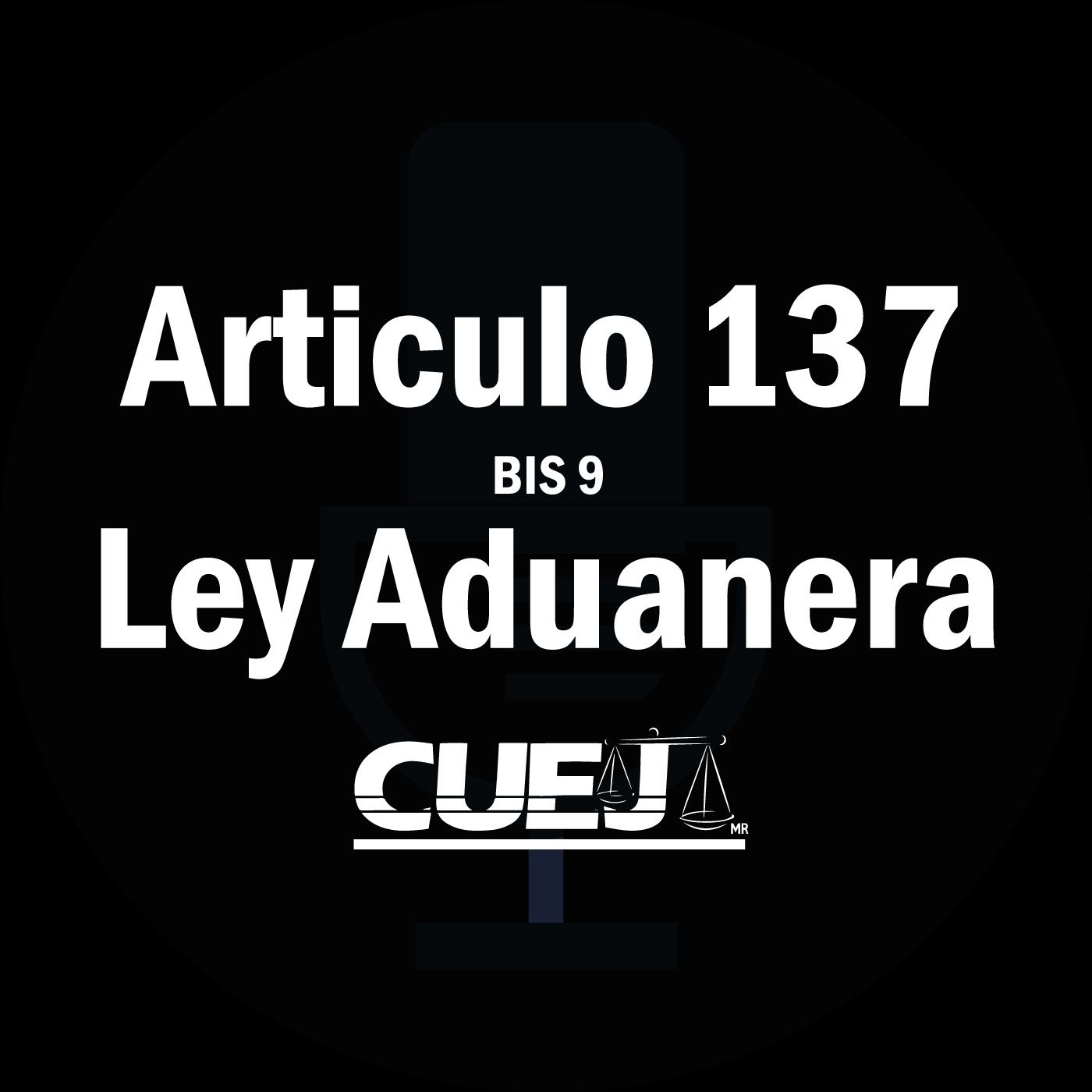 Audio Ley Aduanera