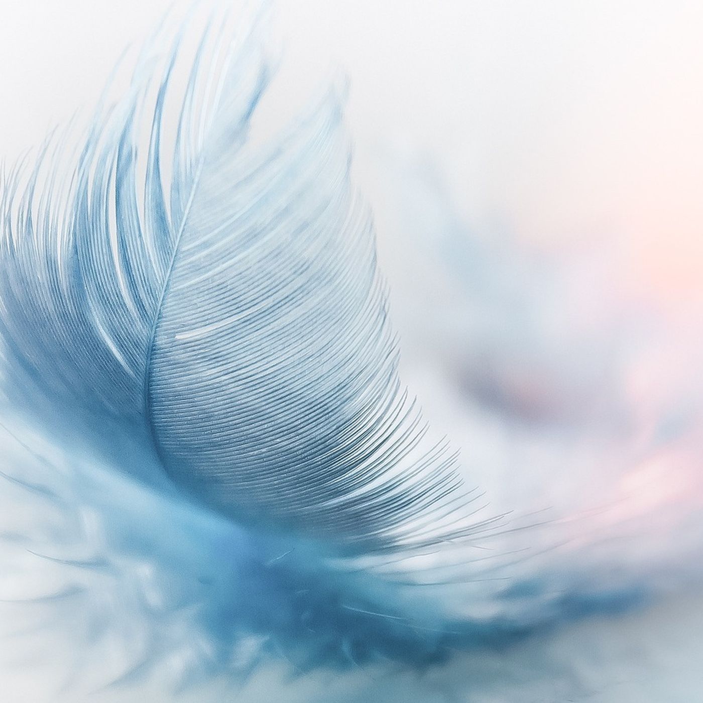 Corpo, Mente e Spirito