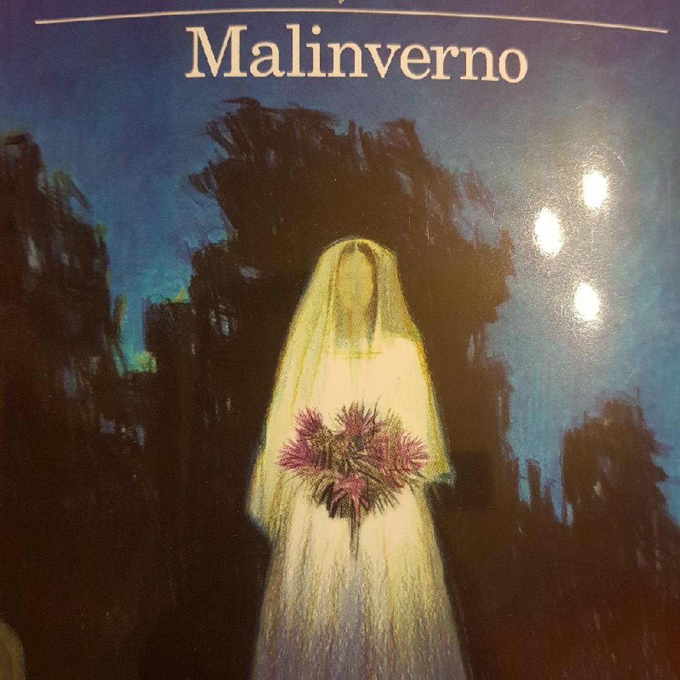 Domenico Dara : Malinverno