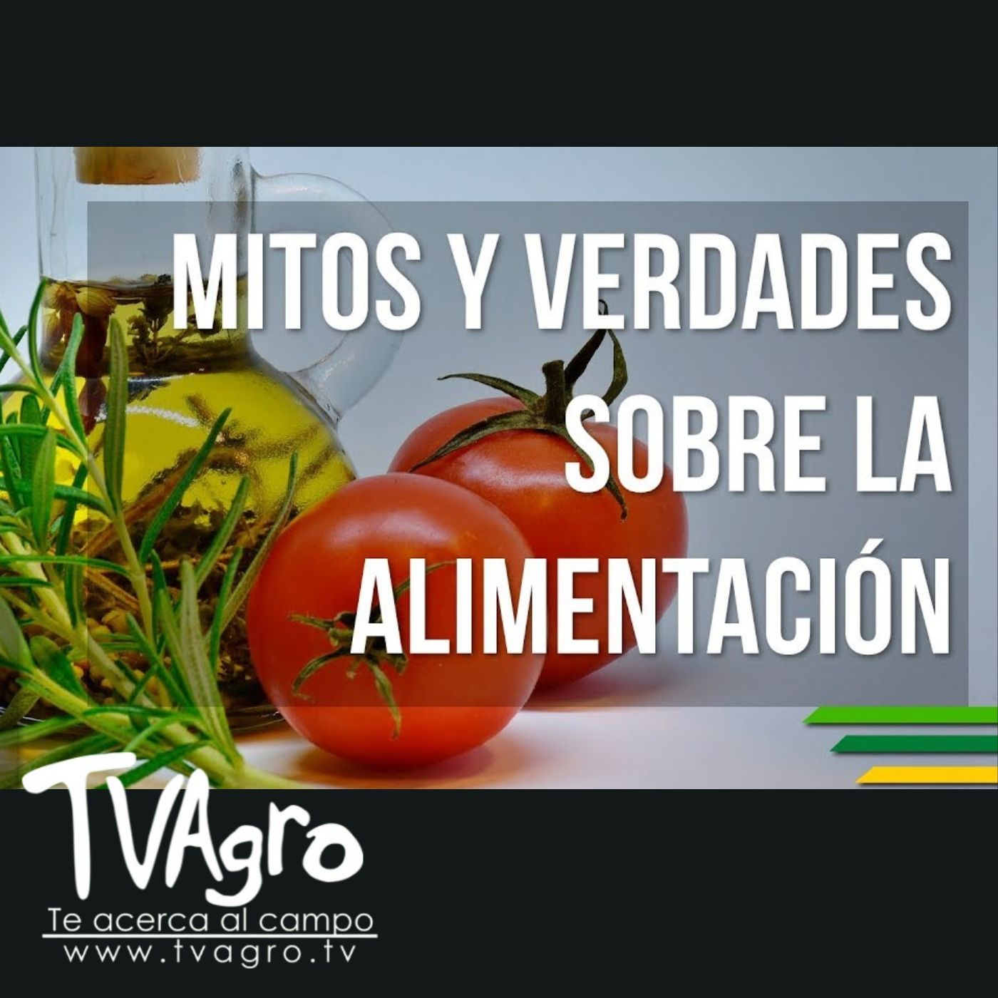 TV AGRO