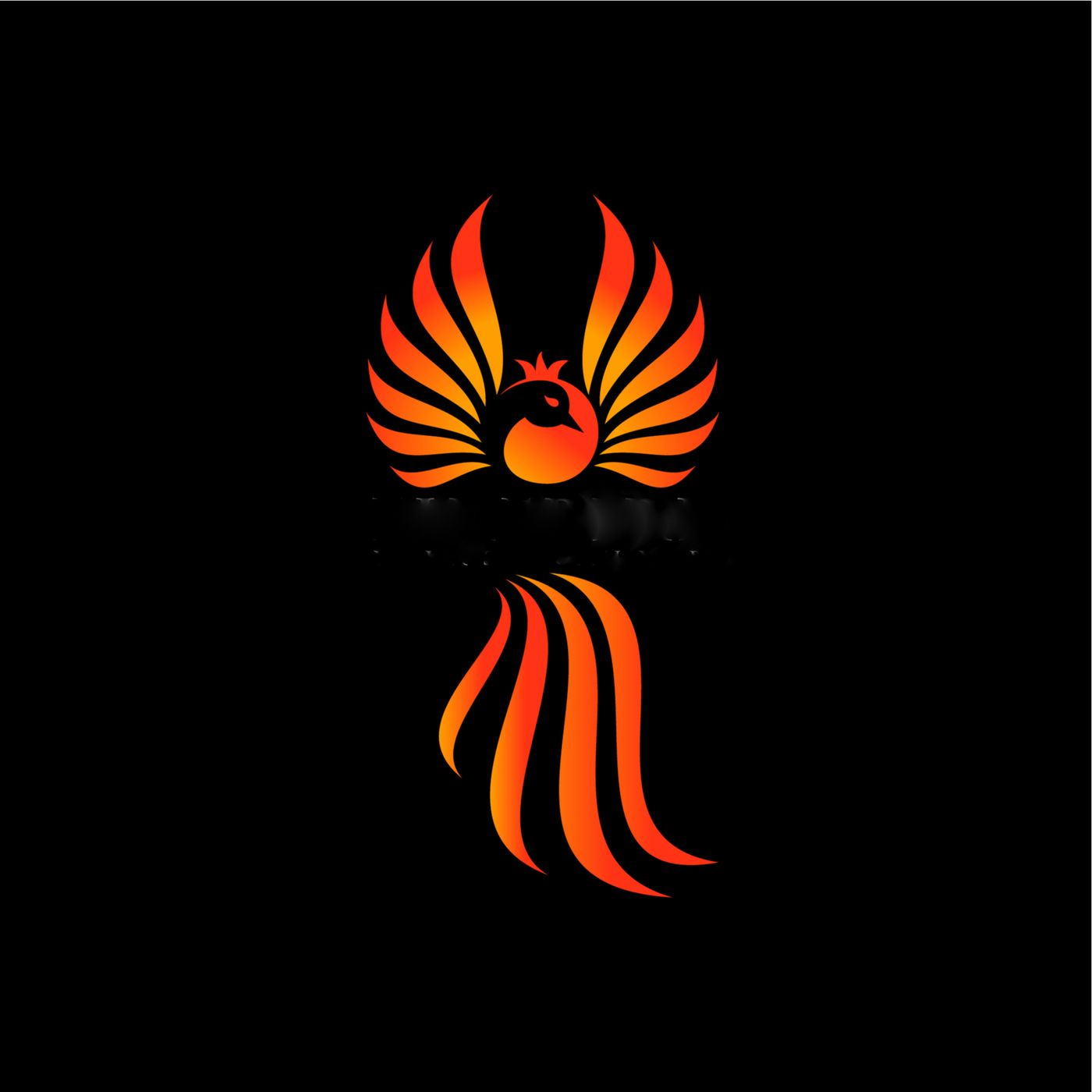 Authors on Fire