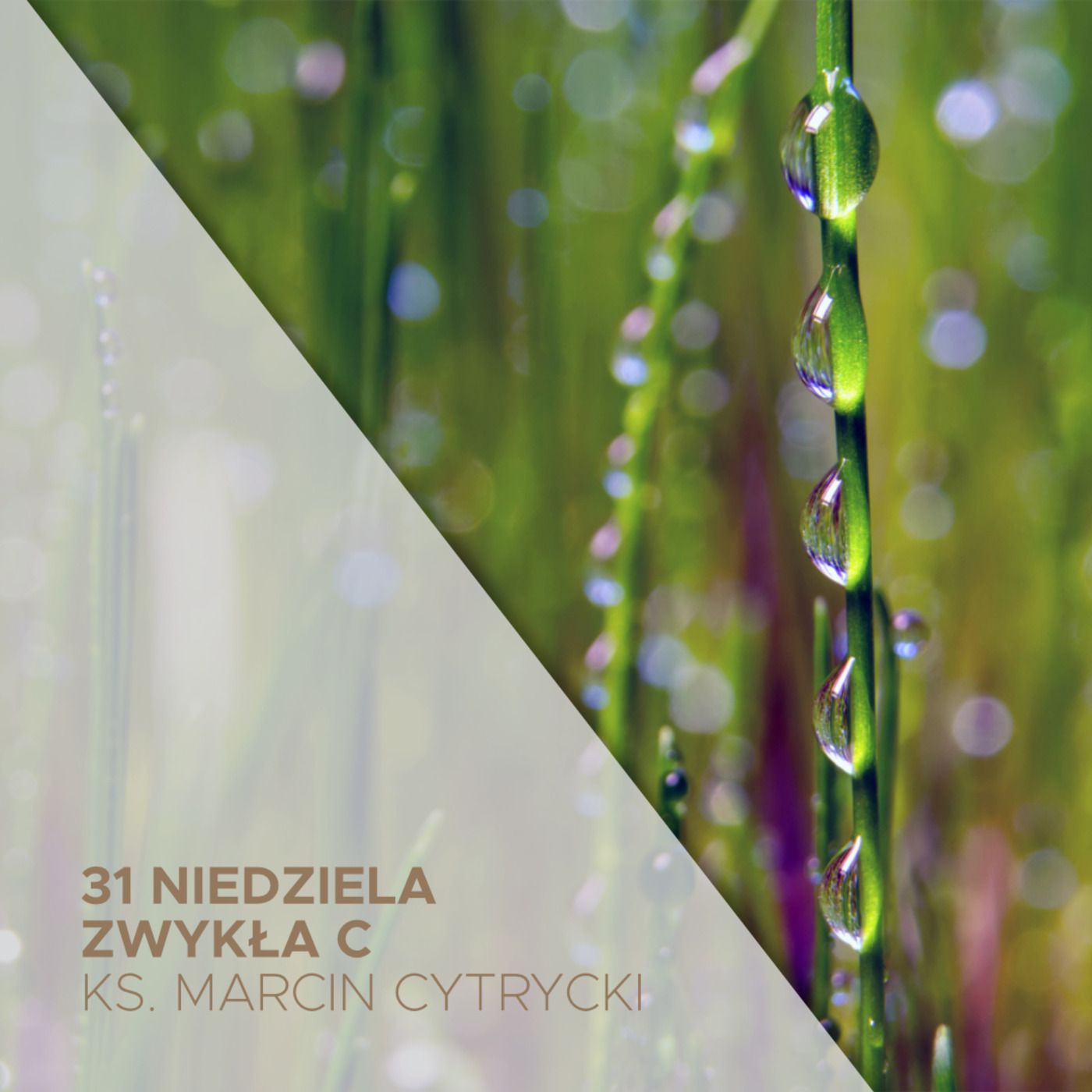 31 Niedziela Zwyka C - Taki jestes ty - ks. Marcin Cytrycki episode artwork