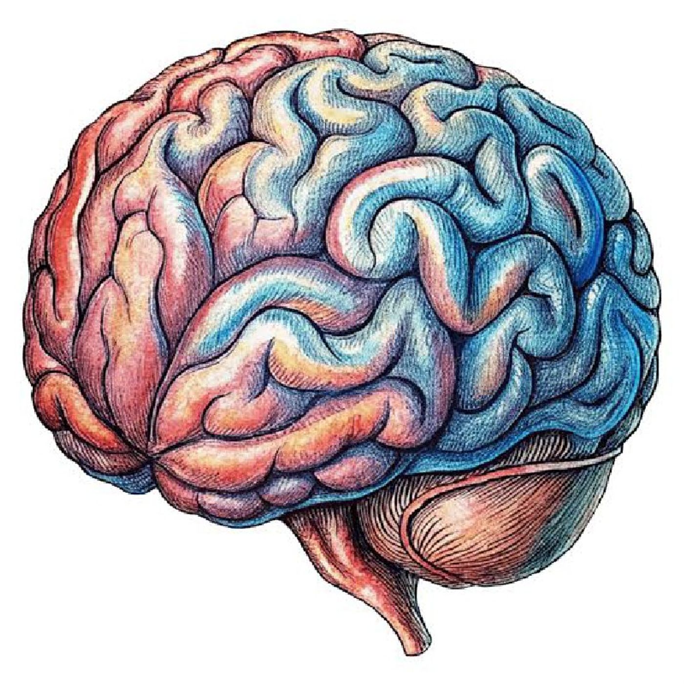 A TÉCNICA DO REDUCIONISMO COGNITIVO (T13:E23) feat. Um Episódio Bem Analítico 🤯 episode artwork