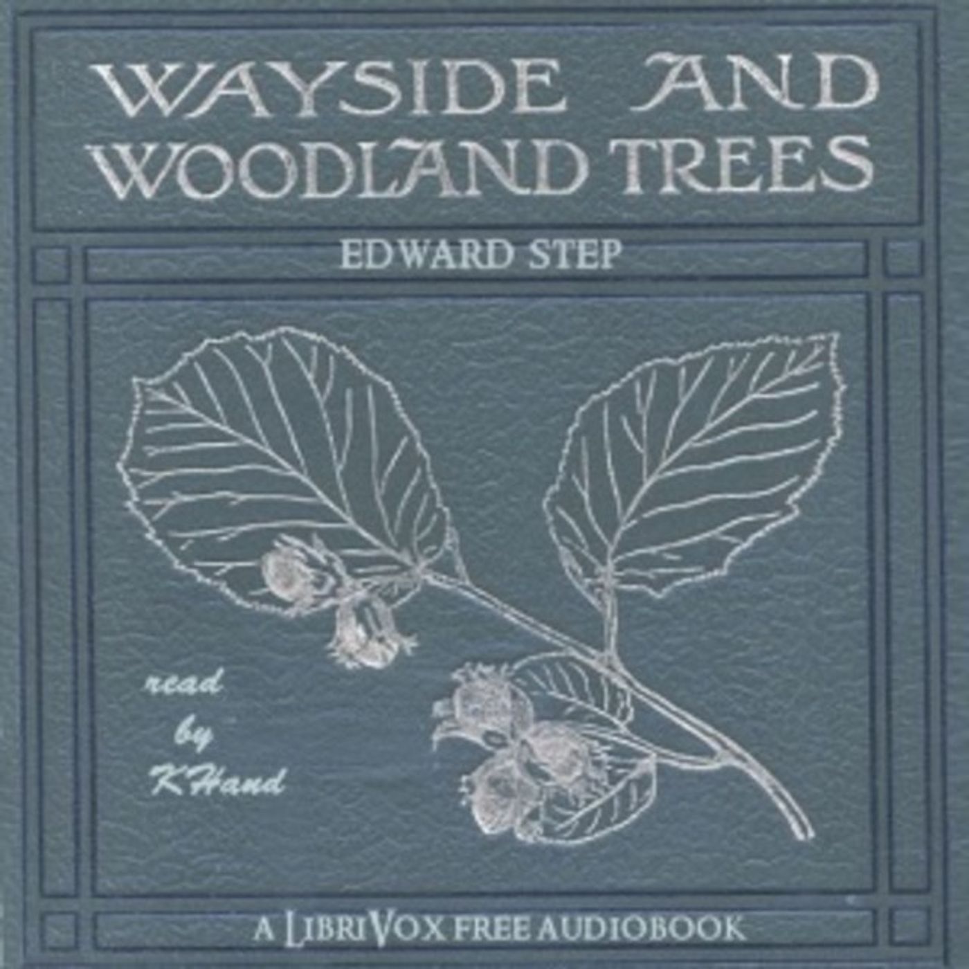 008 - Native Trees and Shrubs Part 7 episode artwork