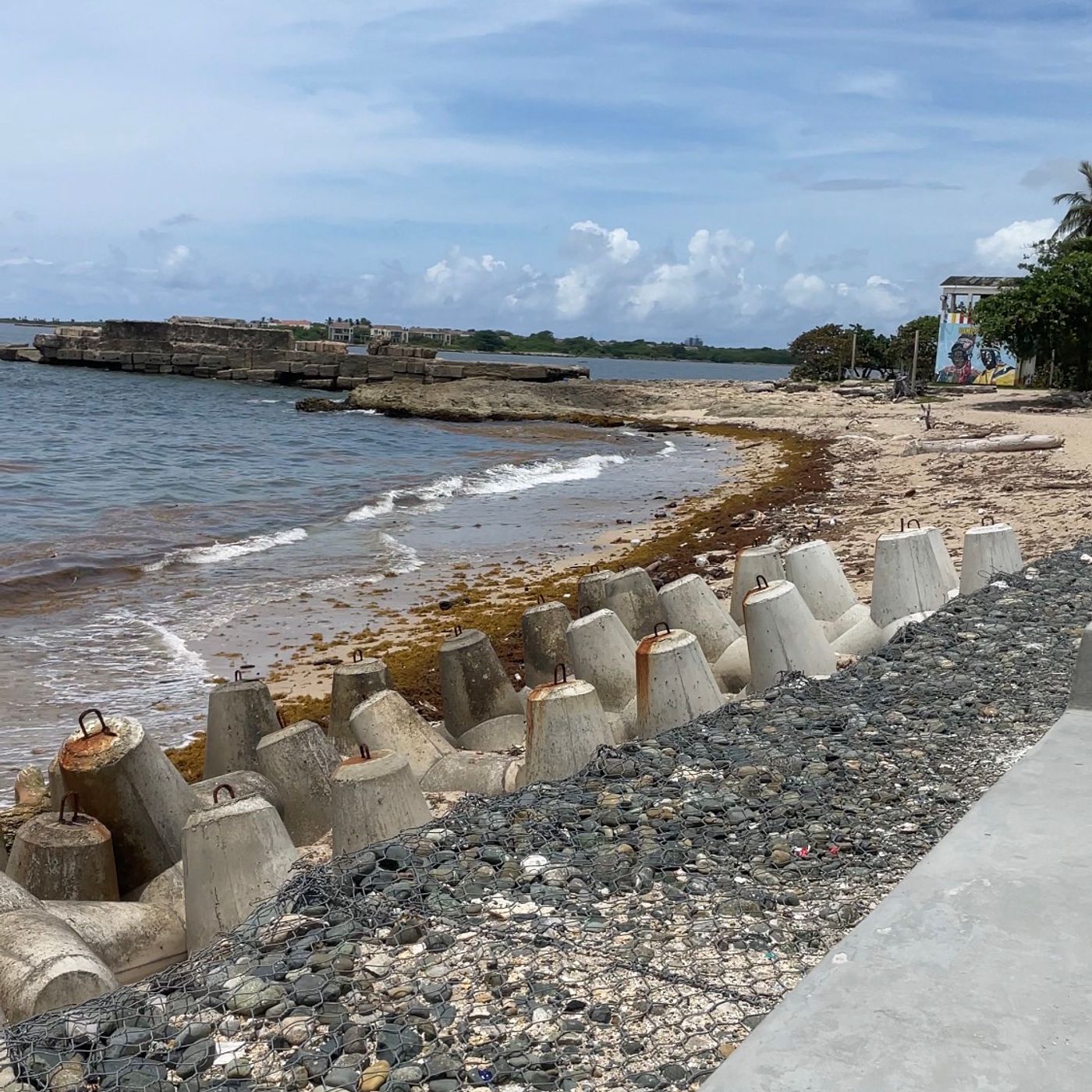 Llegada de sargazo al Malecón de San Pedro de Macorís.