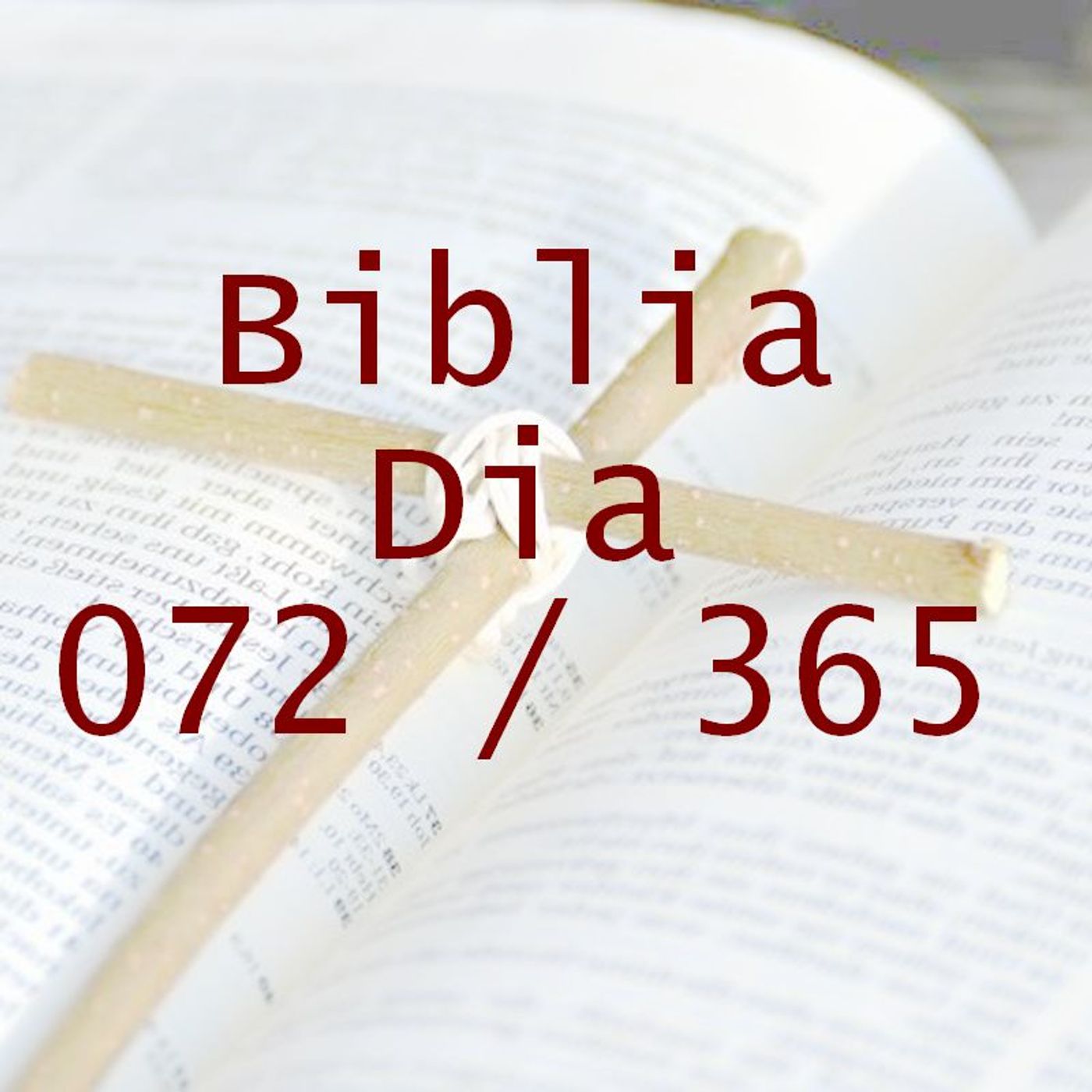 La Biblia en 365 dias