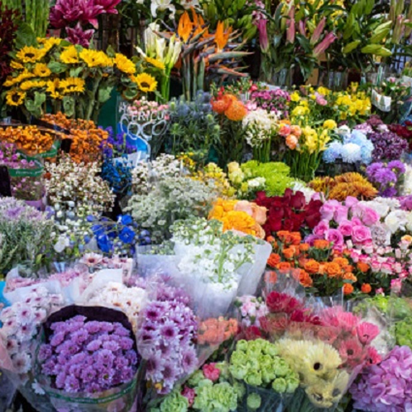(Smile File) Flower Shop Owner Gives Away Flowers Just for Having a Name! episode artwork