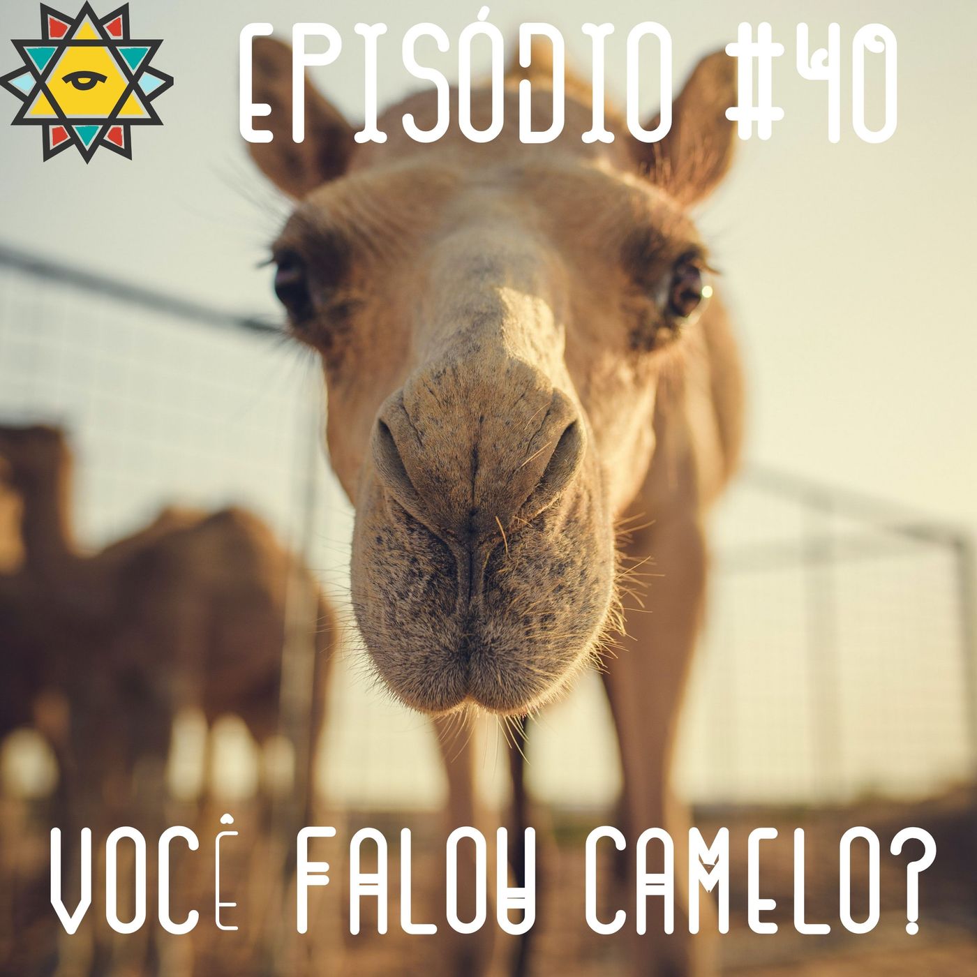 Aprendiz Mathite - Olhar de aprendiz e um pouco de diz-que-me-diz