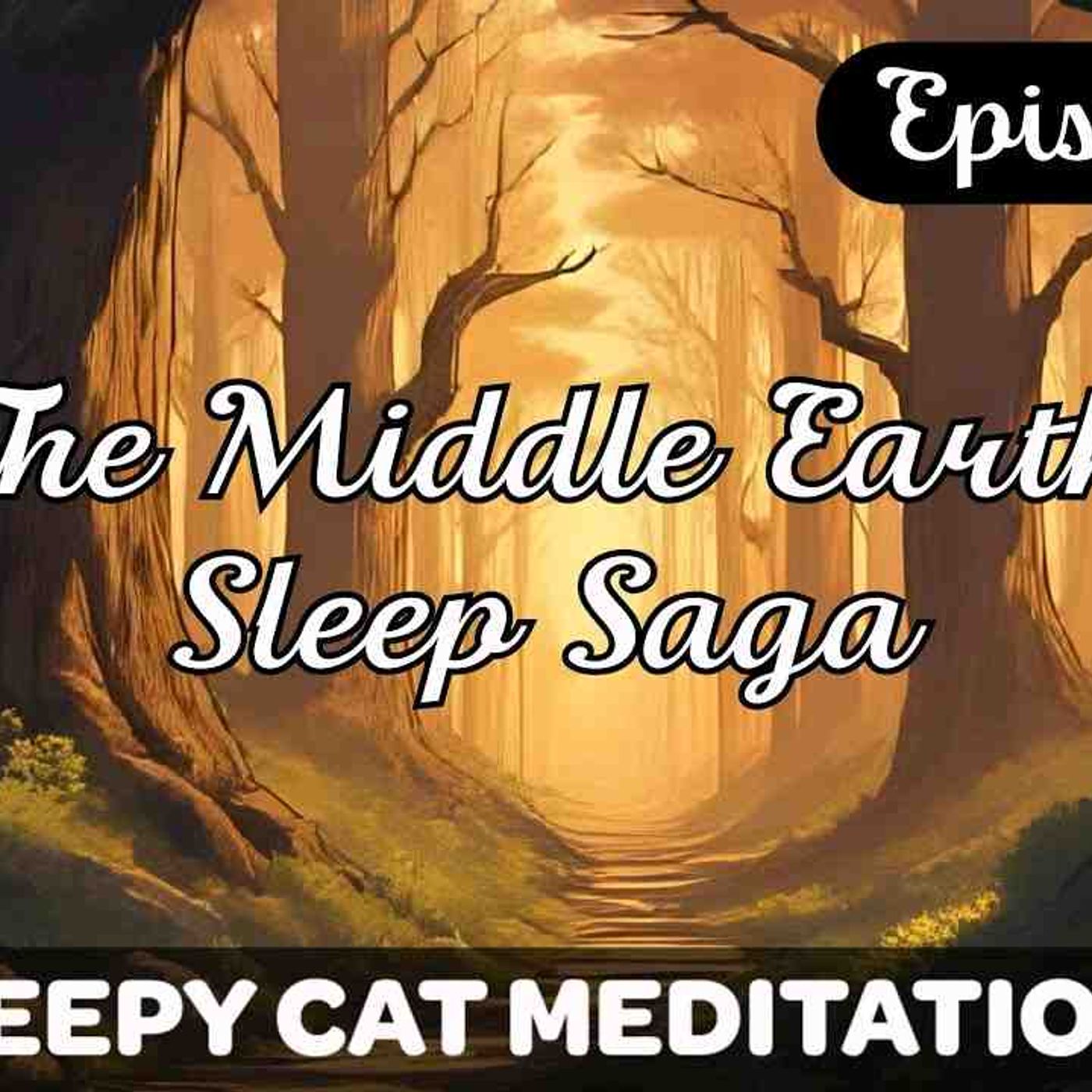 _Sunrise In Lothlórien_ - _NEW_ - The Middle Earth Sleep Saga (Episode 9)(MP3_160K) episode artwork