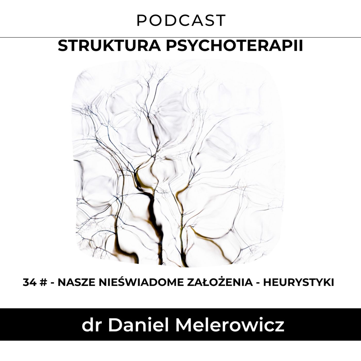 Struktura Psychoterapii
