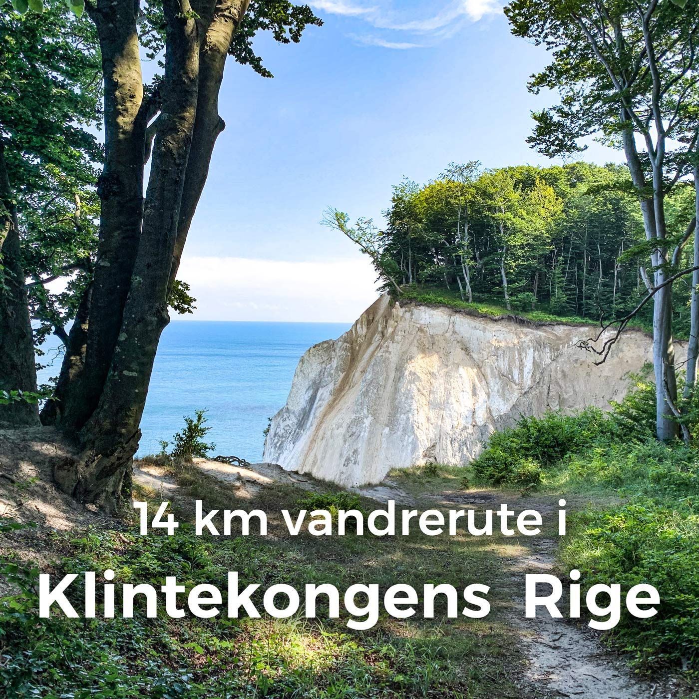 Klintekongens Rige af GeoCenter Møns Klint