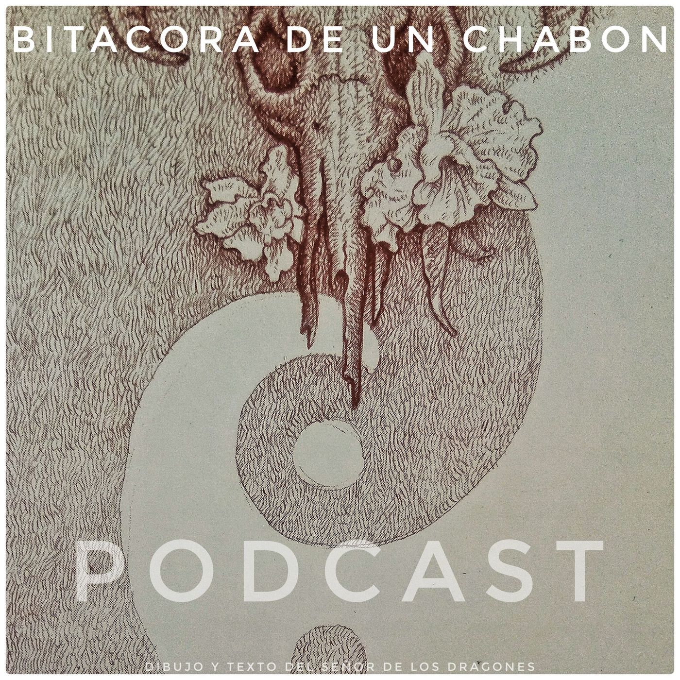 Bitácora De Un Chabon
