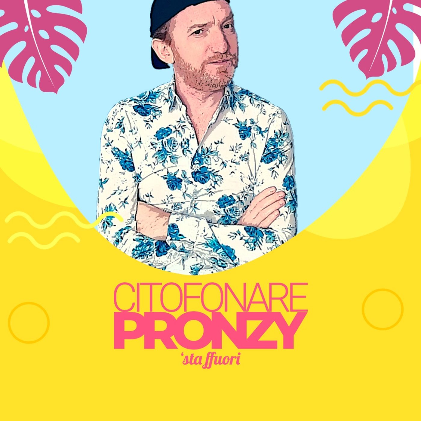 Citofonare Pronzy