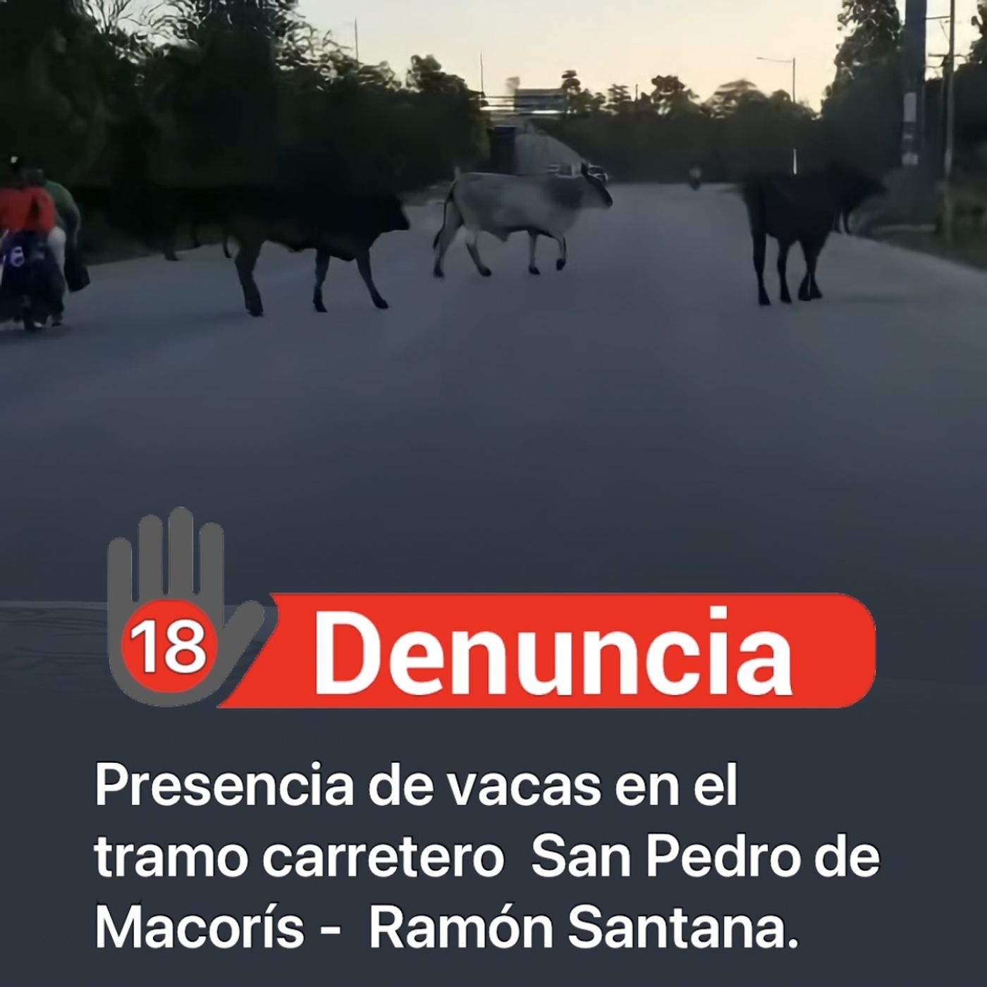 SPM Noticias