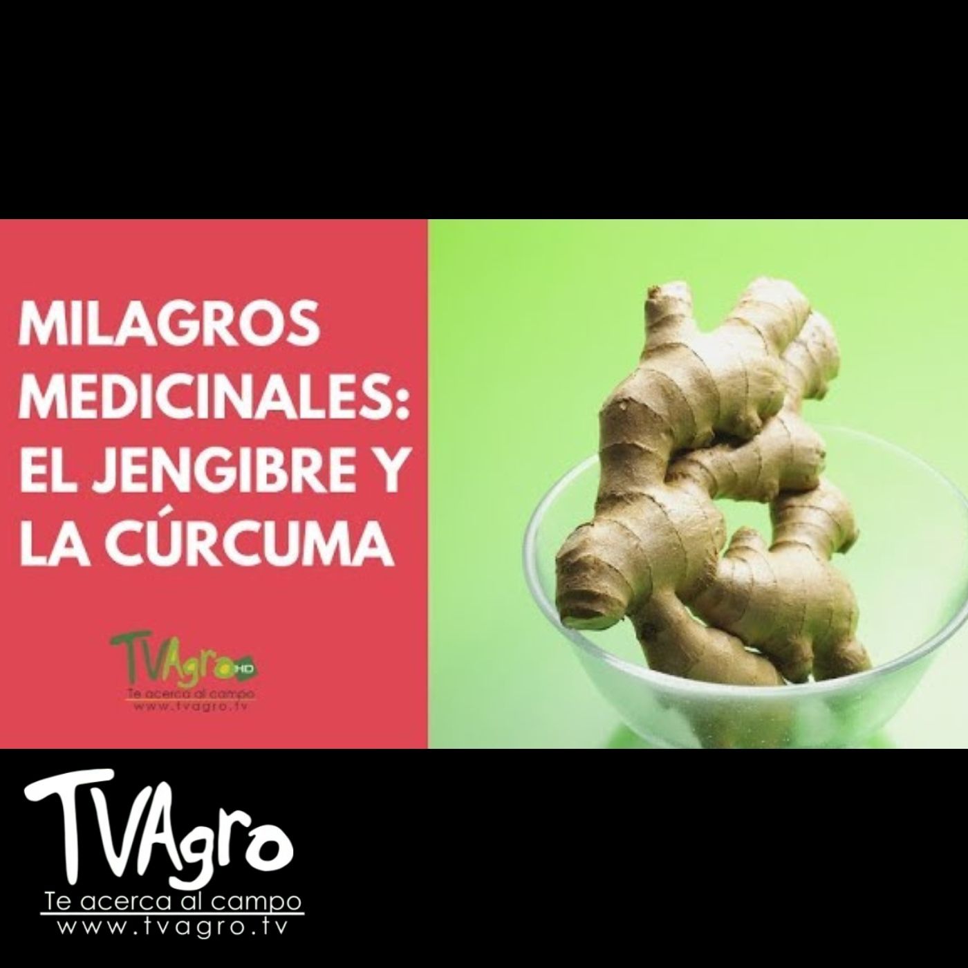 TV AGRO