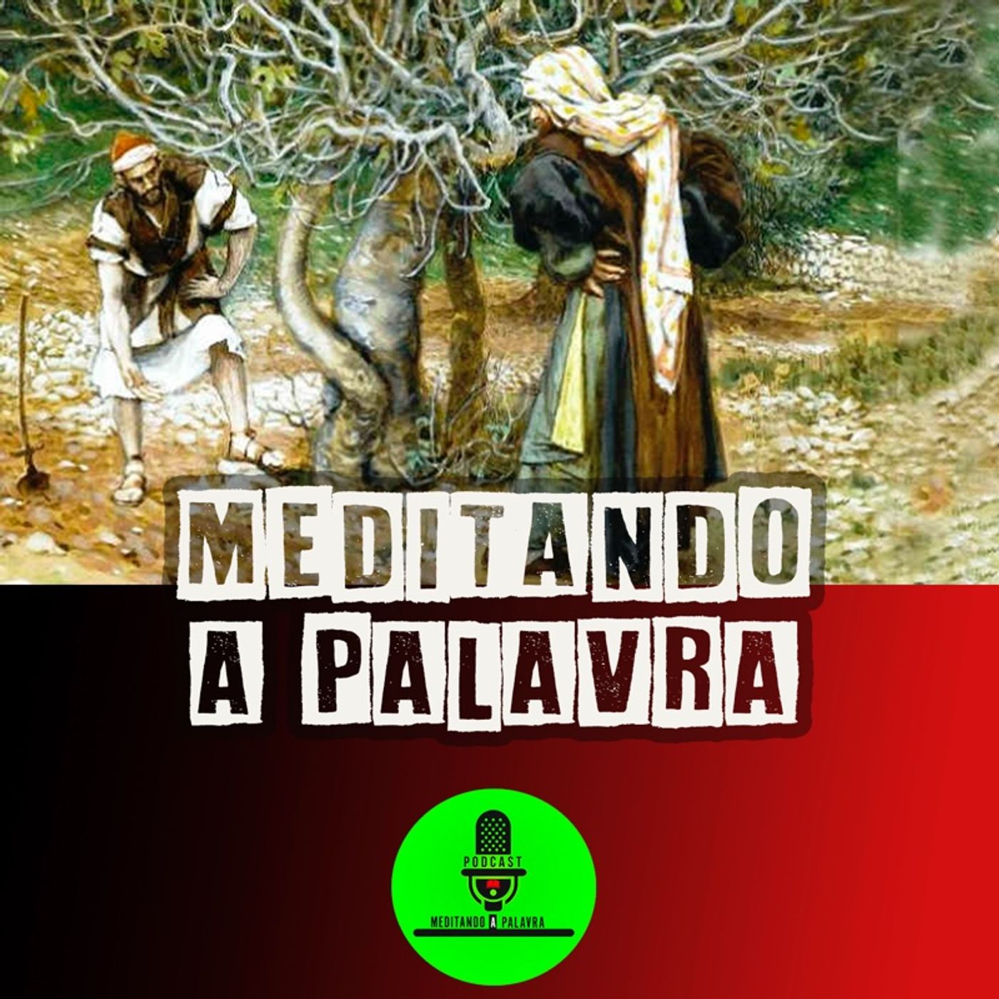Meditando a Palavra