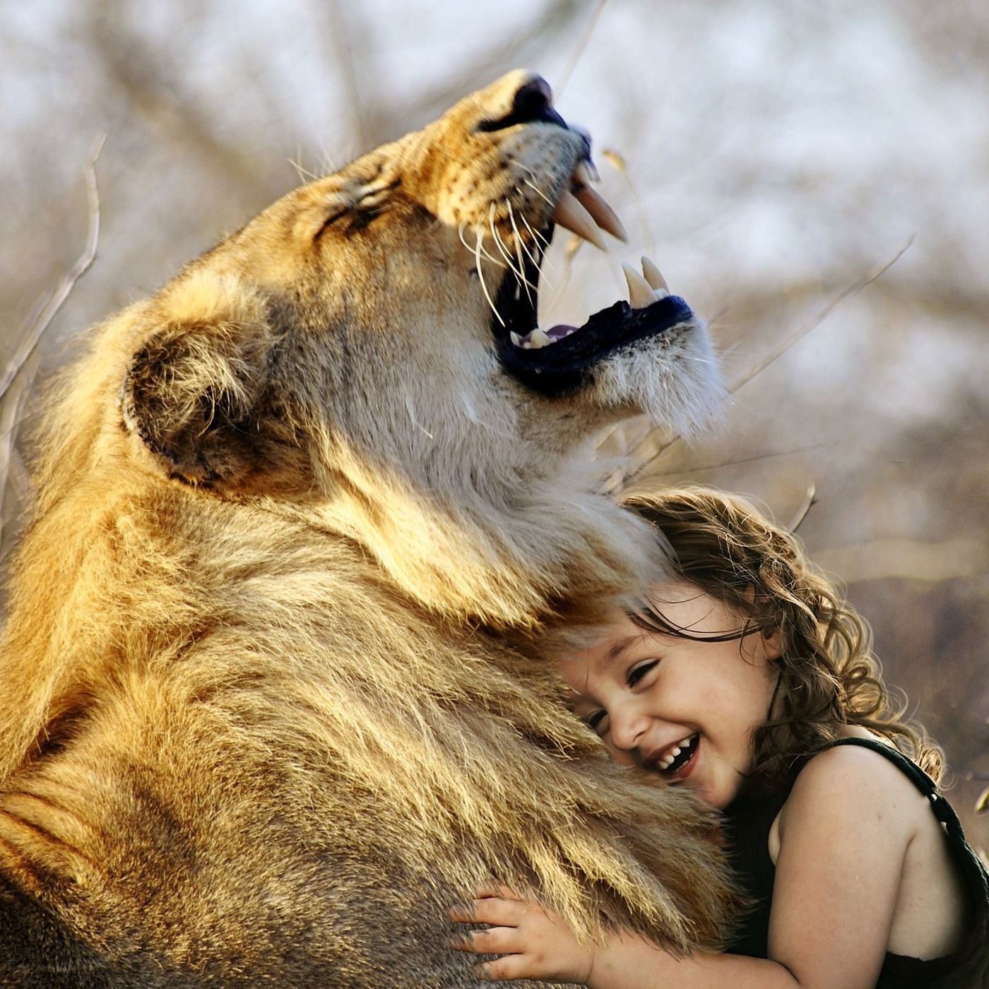 Bambini allevati da animali Tarzan ,Mowgli  ecc e le loro storie episode artwork